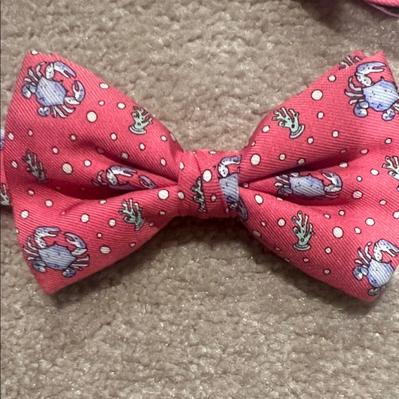 Stylish Blue Tie and pink Bow Tie Set - Picture 6 of 6